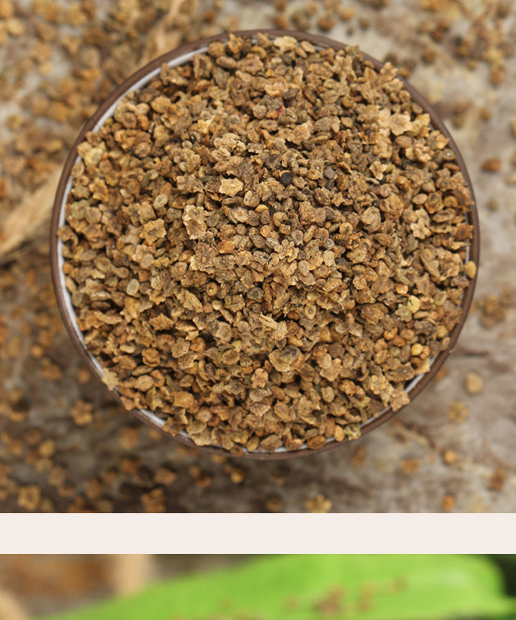 扫帚菜扫帚苗种子绿叶地肤草种子四季野菜蔬菜种孑庭院室外扫帚苗种子