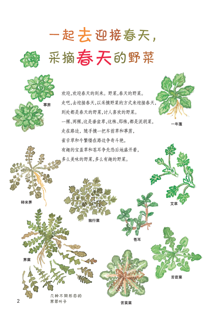 赠贴纸 5-12岁亲子四季户外游戏锻炼孩子创作力动手能力正版现当代儿