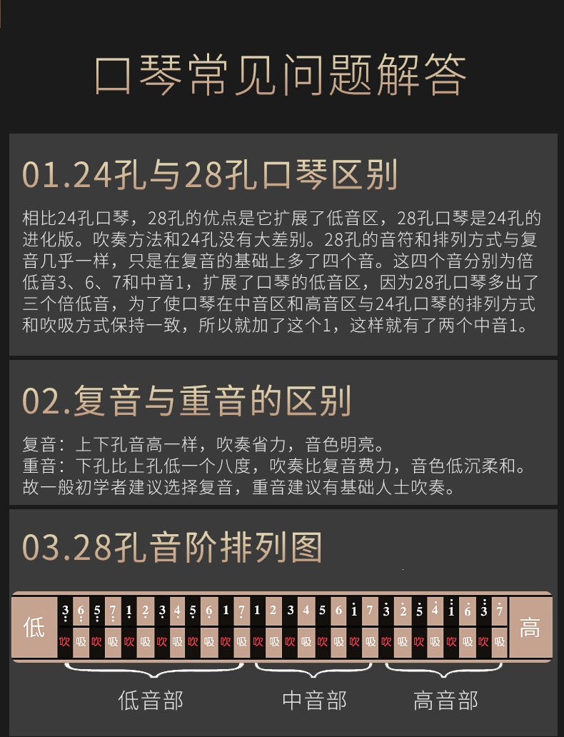 奇美 音簧口琴28孔重音c调初学者学生入门24孔复音专业演奏级