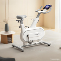 麦瑞克MERACH直立式动感单车智能调阻承重120kg健身体验升级绝影0NE