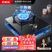 万家乐AY1烈火5.2KW燃气灶家用厨房单灶台式嵌入式煤气灶天然气