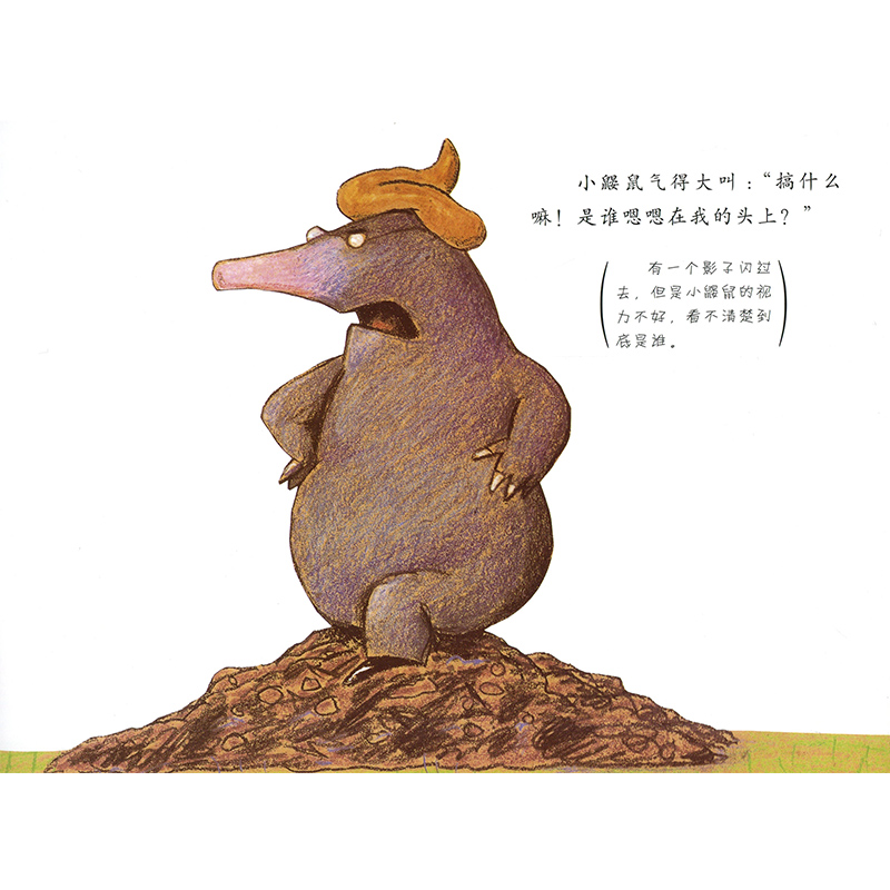 河北教育出版社作者:(德)维尔纳·霍尔茨瓦特译者著|方素珍译商品参数