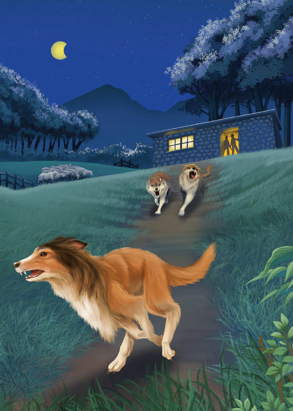 鹏辰正版4本26元大奖儿童文学灵犬莱西经典世界名著小学生课外阅读物