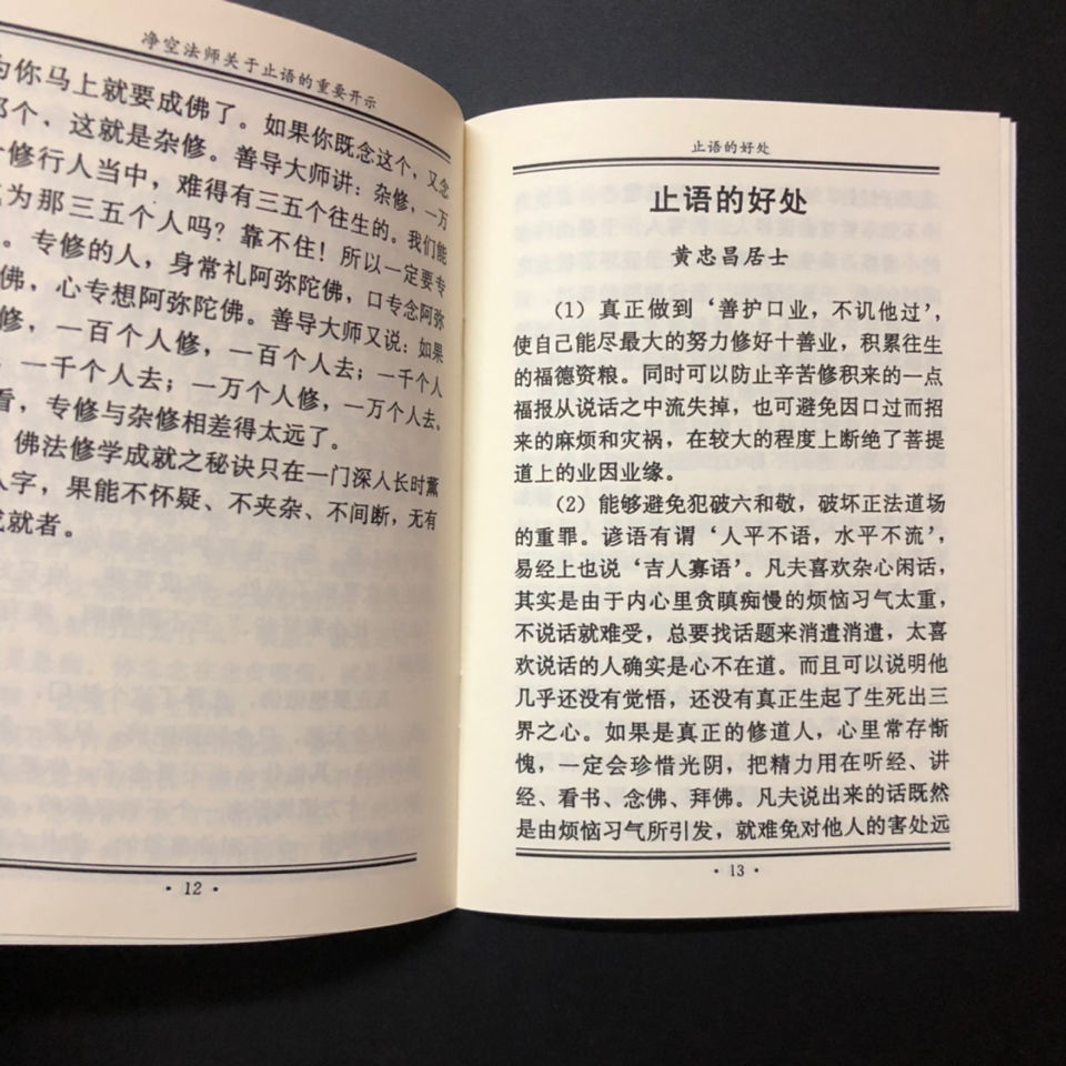 净空法师发愿忏悔文忏悔发愿文化老法师佛号止语的好处32开32页1本