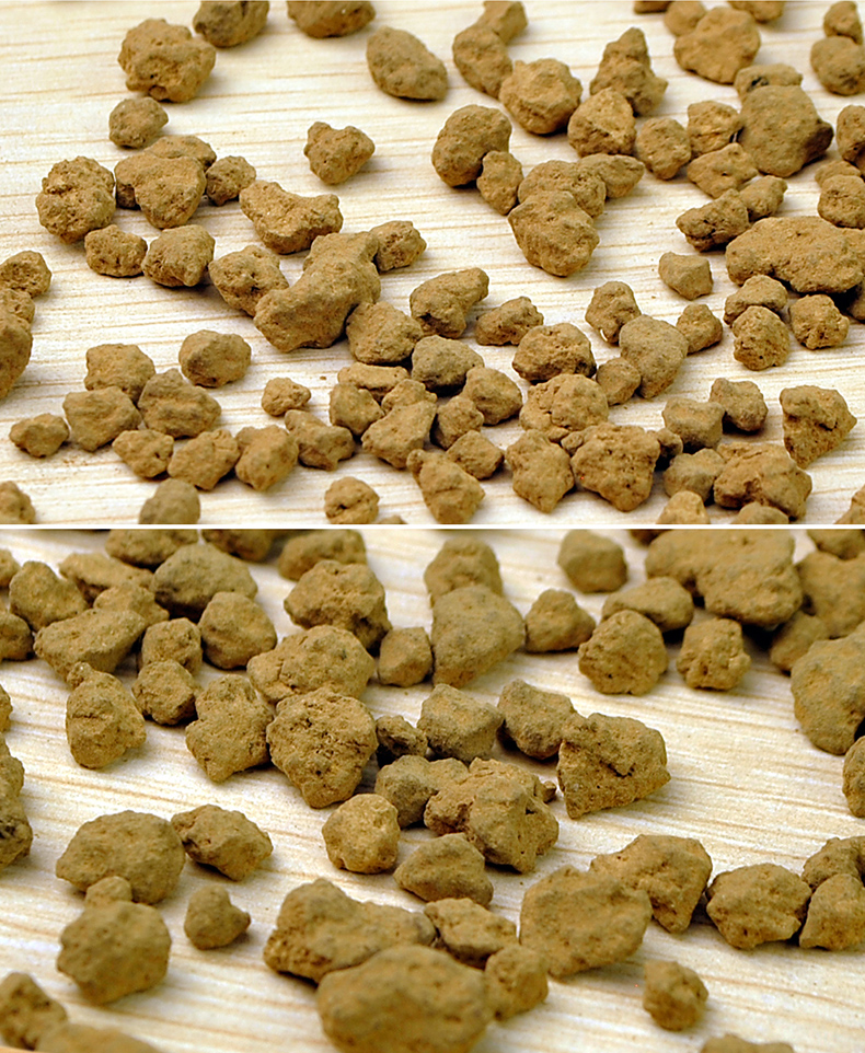 赤玉土 鱼缸水陆缸造景植物栽培土鱼缸底砂水泥 水底床营养土