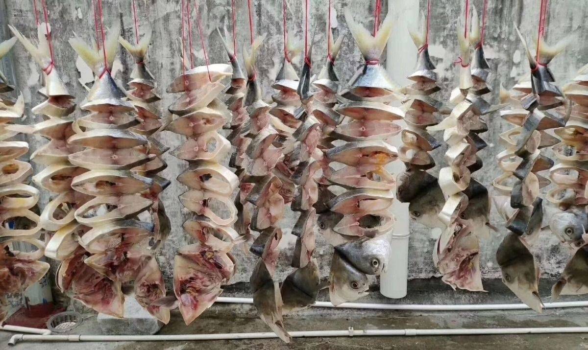 正宗阳江特产 自晒深海新鲜金鲳鱼干淡口咸鱼水产干货真空包装 200克