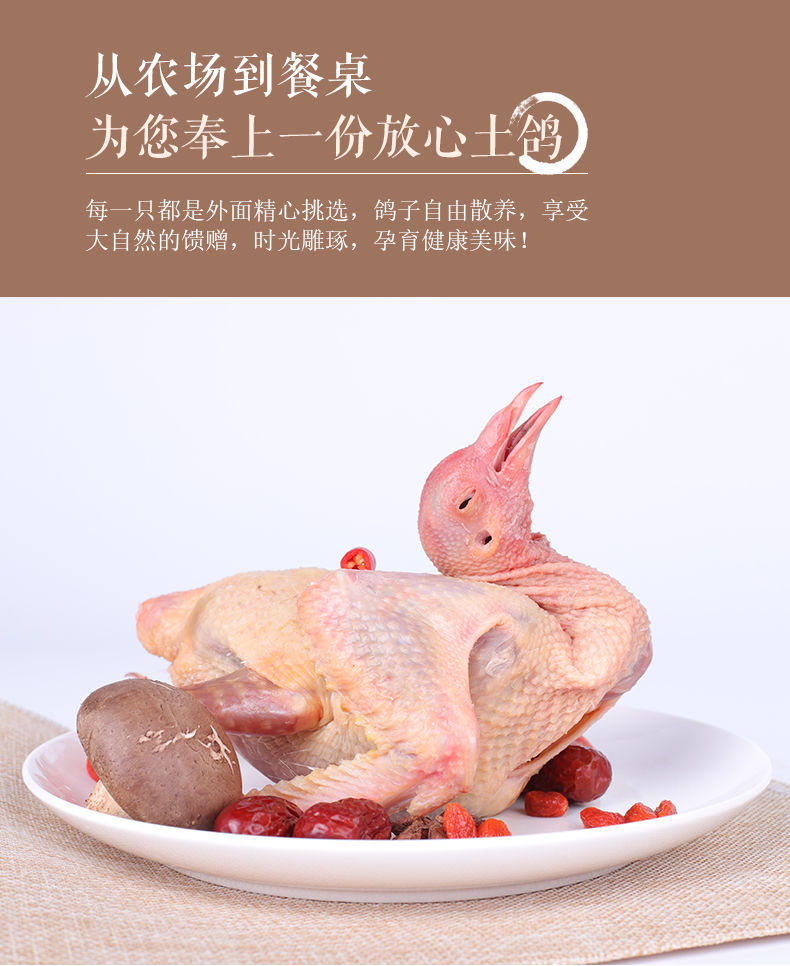 赛卡伊新鲜乳鸽3只土鸽子农家散养老鸽子放飞活体乳鸽子肉鲜现杀煲汤