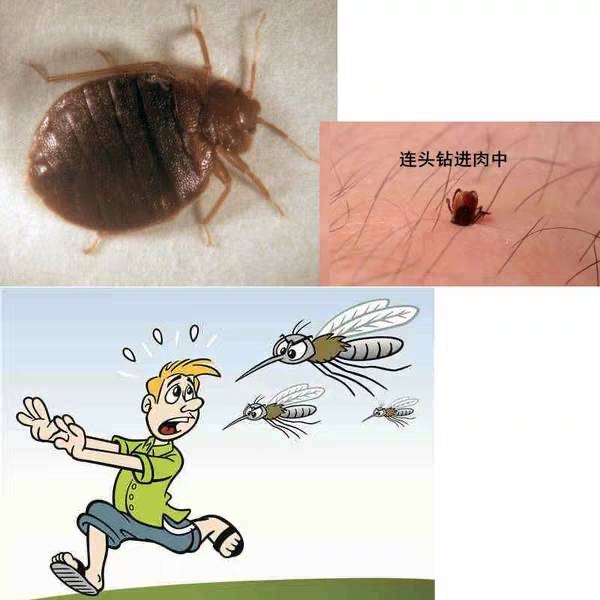 蚊子螨虫跳蚤蚊虫叮咬宝宝湿疹皮肤过敏红肿止痒消肿儿童成人药膏其他