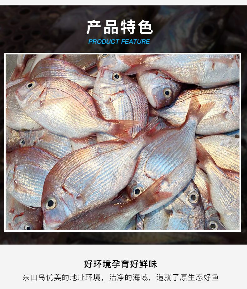 东山岛现捕新鲜赤棕鱼深海捕捞 新鲜海鲜水产 500g(4