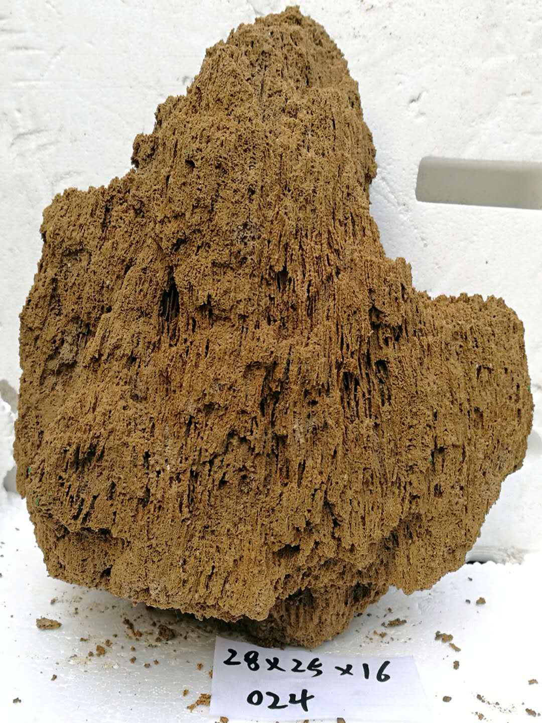 吸水石原石上水石天然假山奇石头盆景化石河滩植物麦管石水秀石毛高度