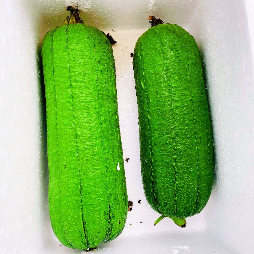 肉丝瓜新鲜蔬菜台湾短棒肉丝瓜农家无公害有机孕妇下奶现摘现发