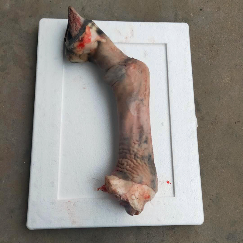 湛航卤味小食 正宗驴脚带皮驴脚正宗黑驴蹄子新鲜驴蹄筋带皮驴小腿