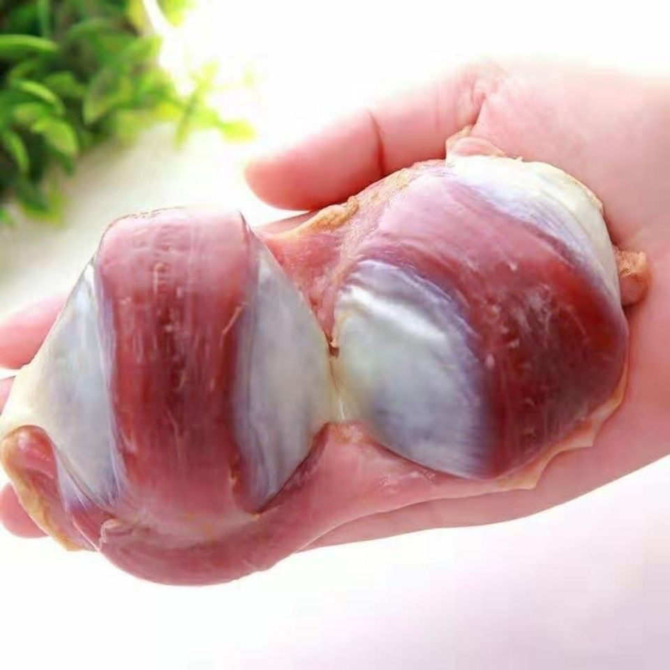 新鲜冷冻鹅胗5斤左右生鲜大号鹅肫鹅内脏冷冻鹅肾新鲜鹅胗批发 5斤