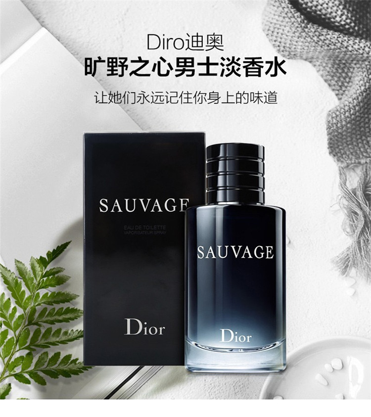迪奥(Dior)香水Christian Dior迪奥Men's Fragrance旷野男士香水Sauvage 