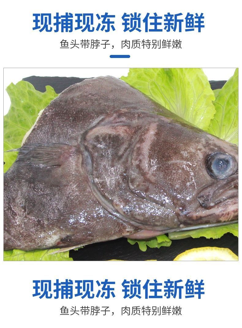 赛卡伊鲽鱼头深海鲽鱼特大鱼头无冰衣碟头鱼比目鱼鱼头海鲜水产整箱