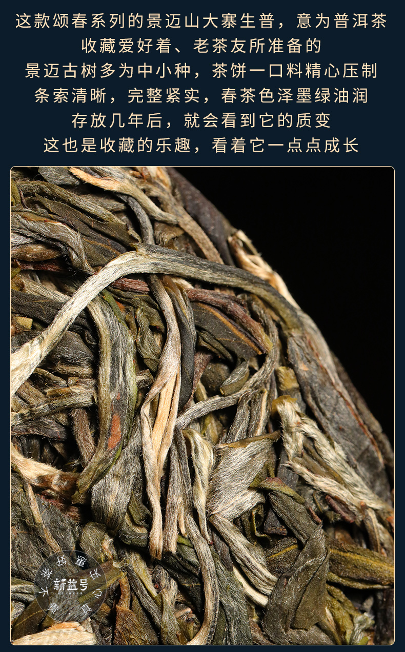 2021春茶新茶叶新益号颂春系列景迈大寨整提普洱茶生茶饼茶叶云南七子