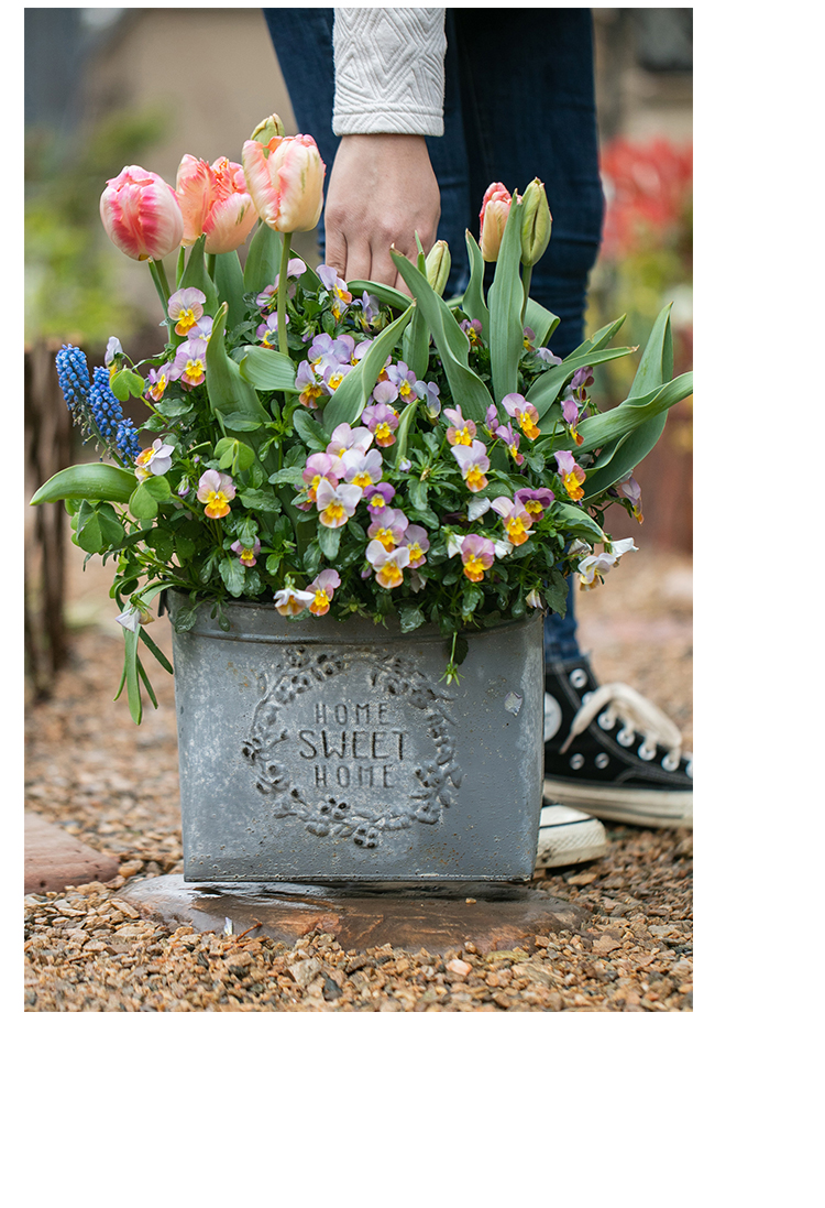 美帮汇铁艺花盆铁皮桶花桶复古做旧鲜花干花多肉花器花篮花店装饰铁皮