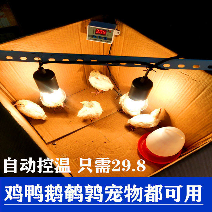 小鸡保温箱鸡鸭鹅鹌鹑自动控温灯养殖取暖灯加热灯宠物保温育雏灯w款