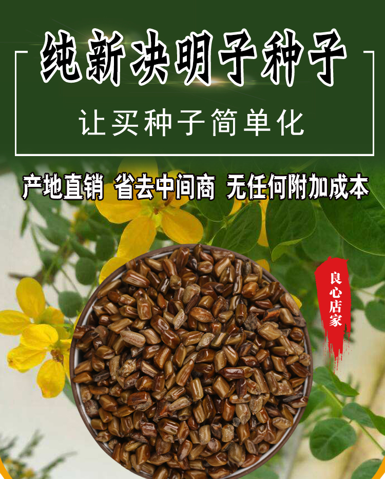 散装药材决明子种子新品决明子种籽草决明枕芯干净无杂