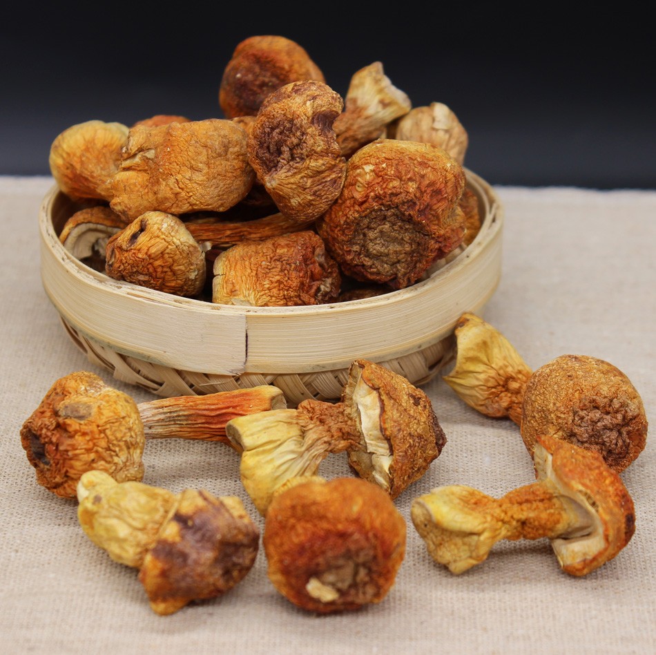 东北姬松茸长白山新鲜松茸菌松茸菇干货汤菌菇250g