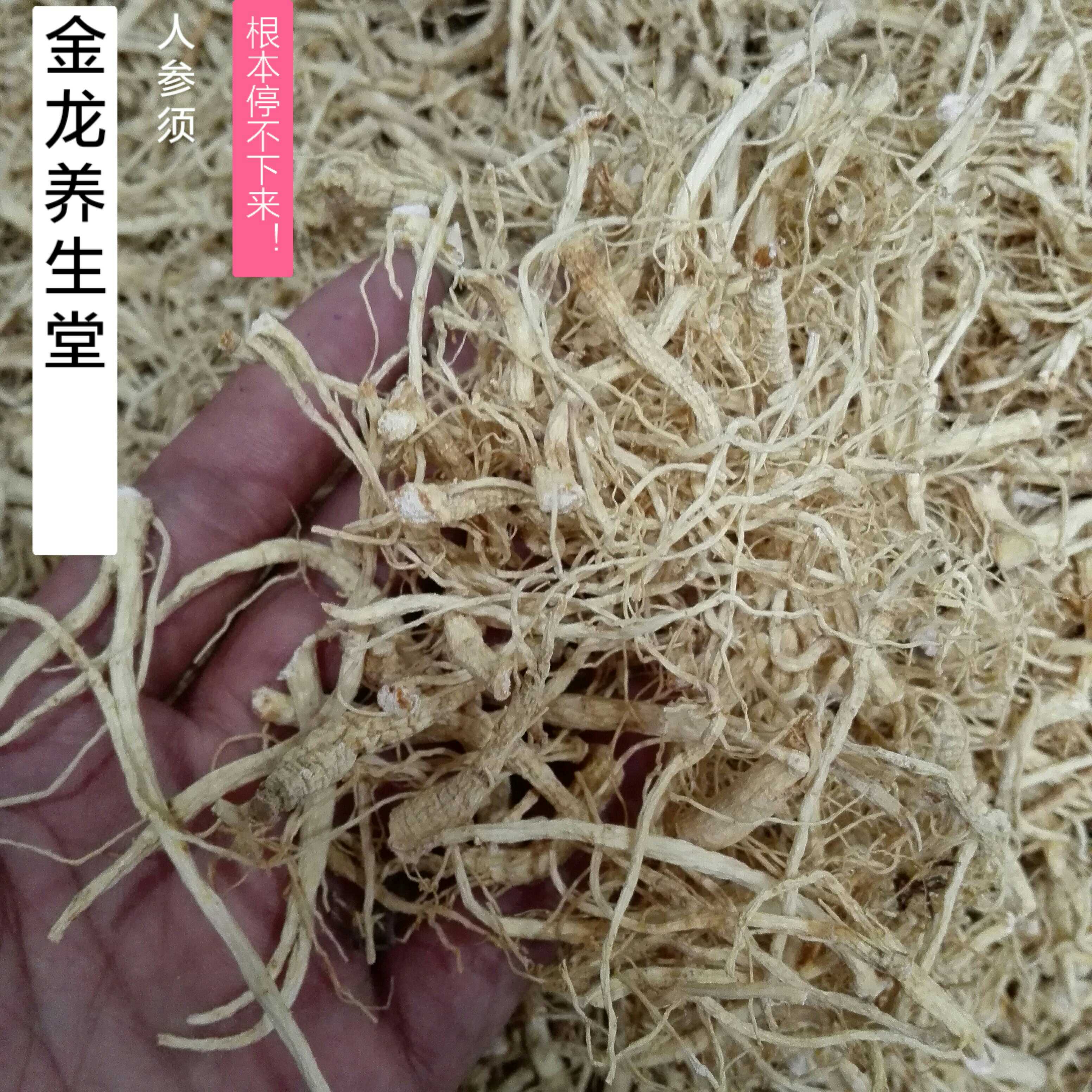 人参须大参根须足干东北长白山白参须生晒参须500g免费打粉