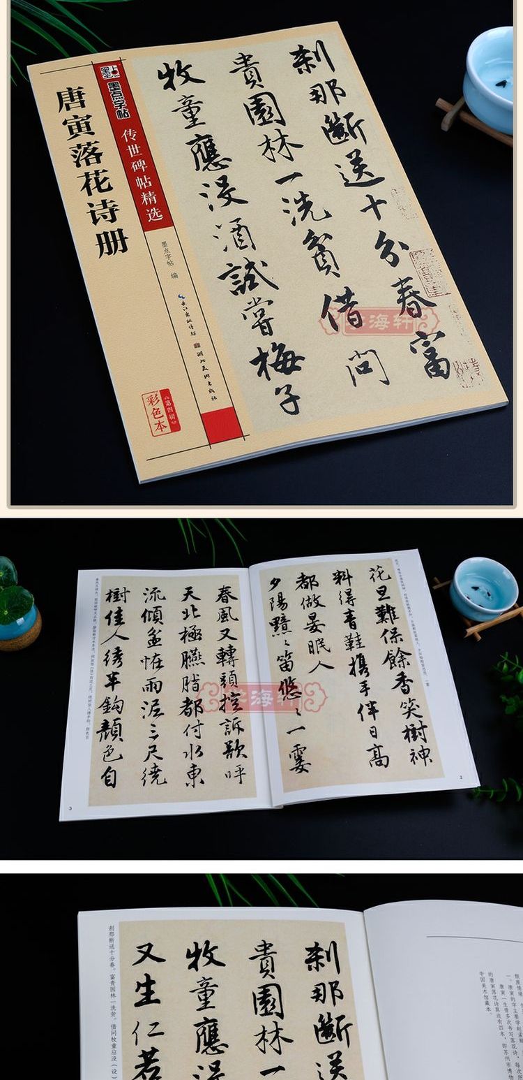 唐寅落花诗册碑帖墨点彩色本第四辑简体旁注唐伯虎行书毛笔字帖书籍