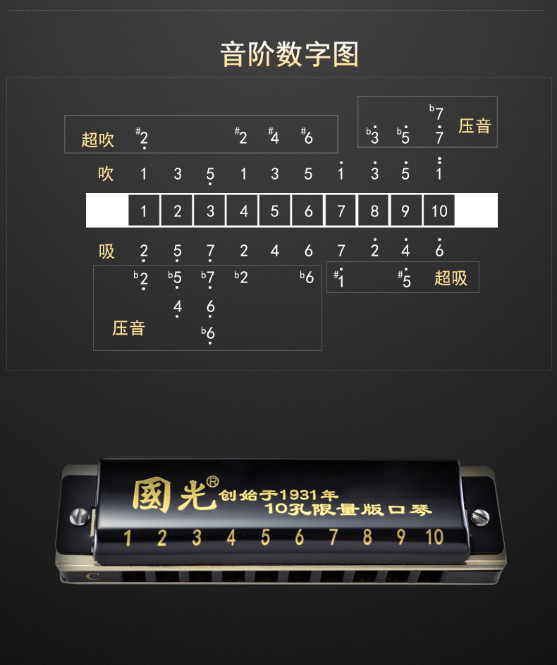 国光老品牌10孔布鲁斯c调口琴成人高级初学自学专业十孔蓝调口琴