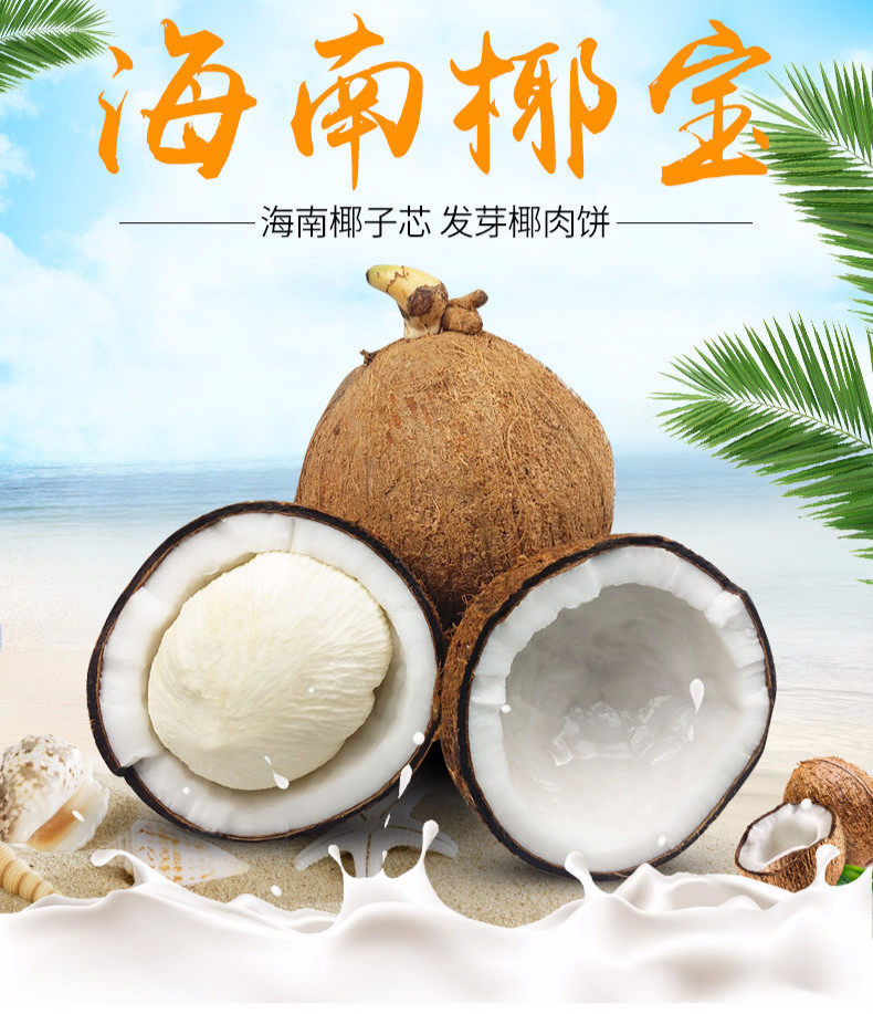 椰子包,海南,包子_大山谷图库