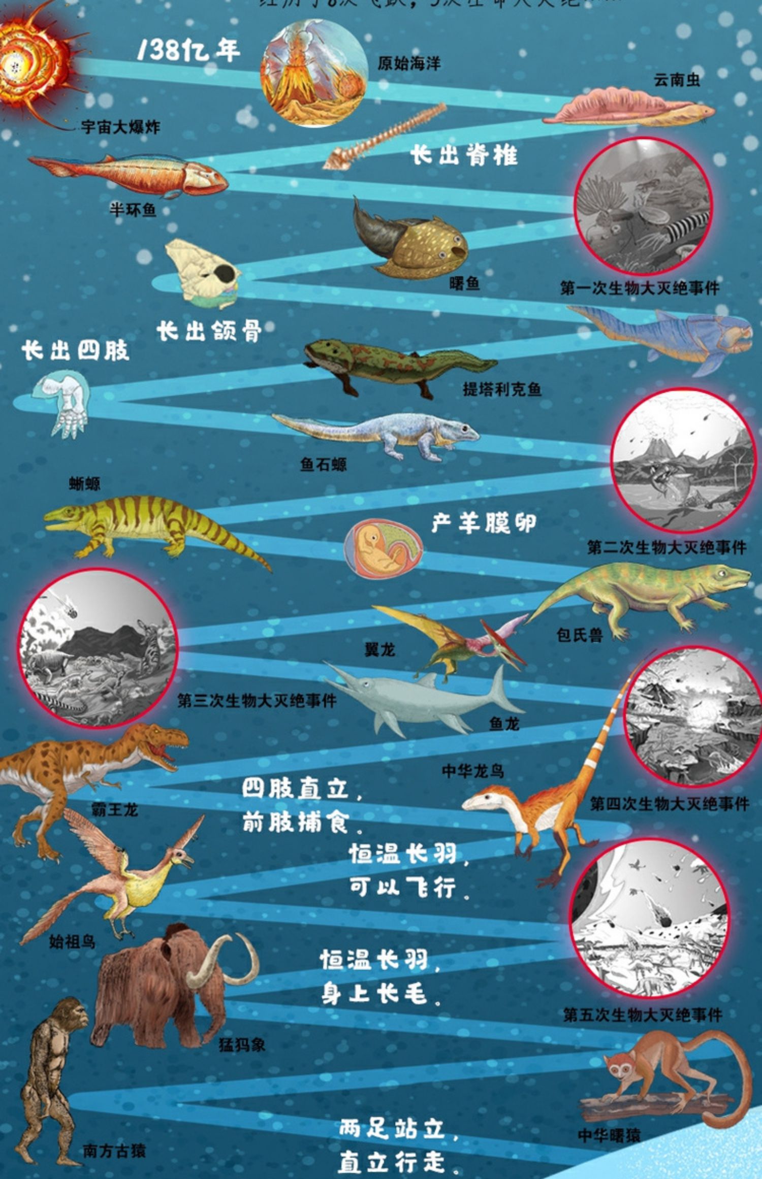 揭秘地球绘本图画书6-12岁青少年儿童世界起源百科大全书揭秘人类生命