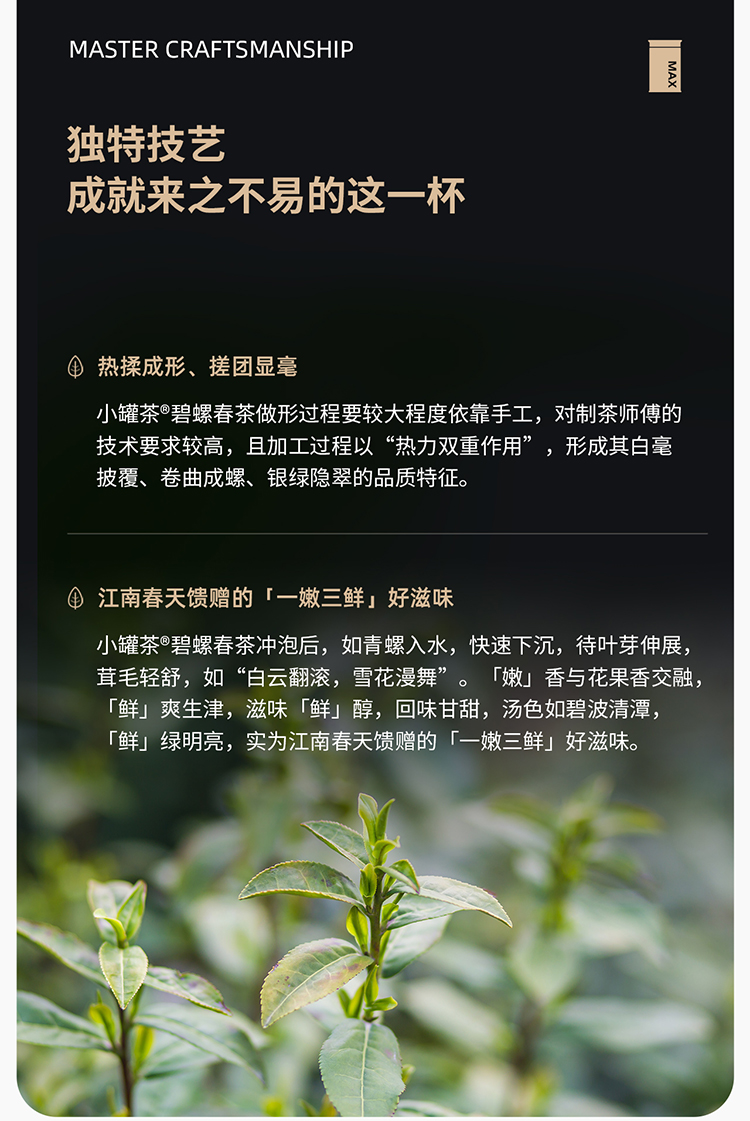 苏宁超市自营超级新品 小罐茶2021年新茶碧螺春明前绿茶茶叶礼盒装45g