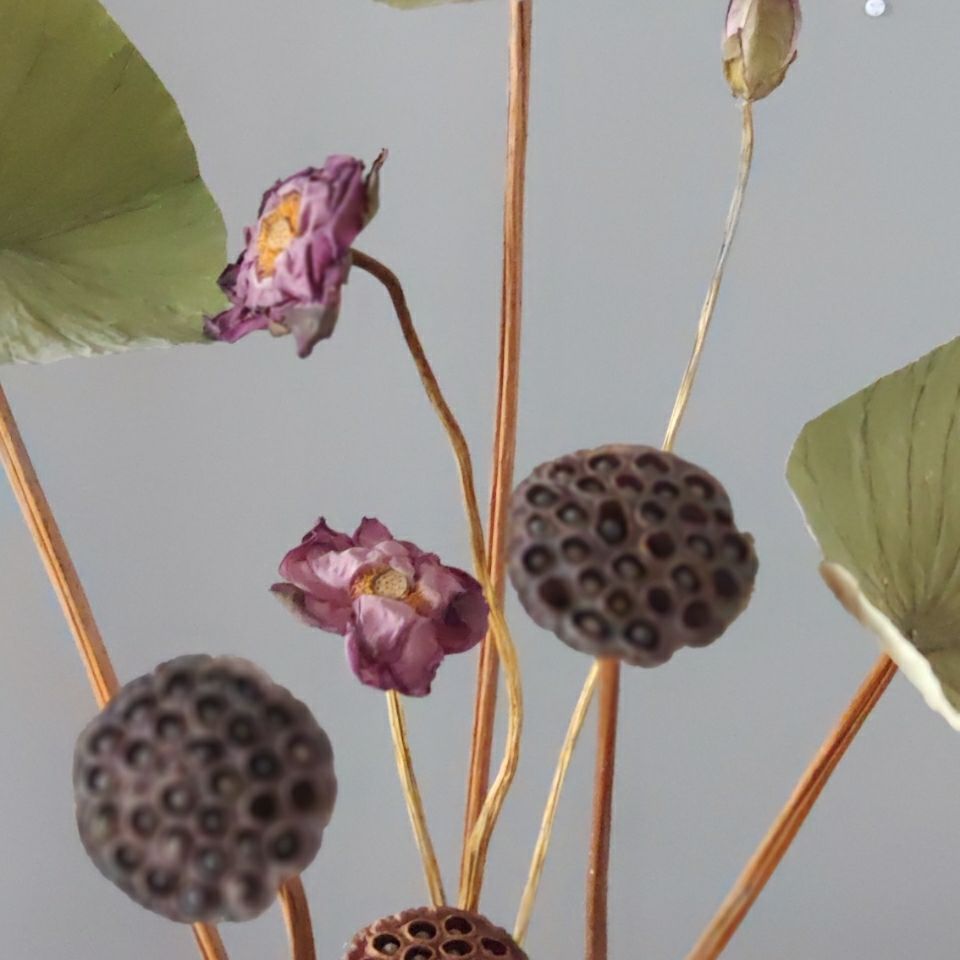 天然荷花荷叶莲蓬荷包真杆装饰摆件干花饰品客厅摆设拍摄天然真杆荷包