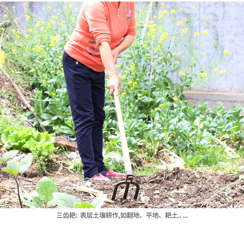 jing ping木柄大锄头农用户外除草开垦锄耙子种地农具种菜种花园艺