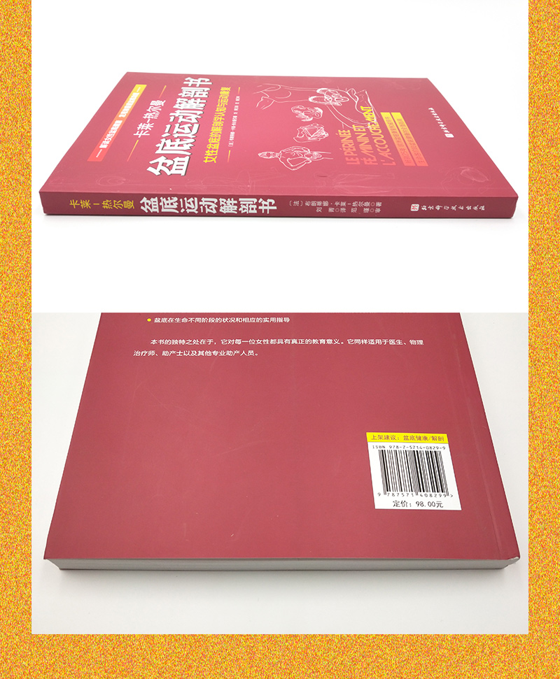 颜系图书正版盆底运动解剖书卡莱热尔曼女性盆底的解剖学认知与运动