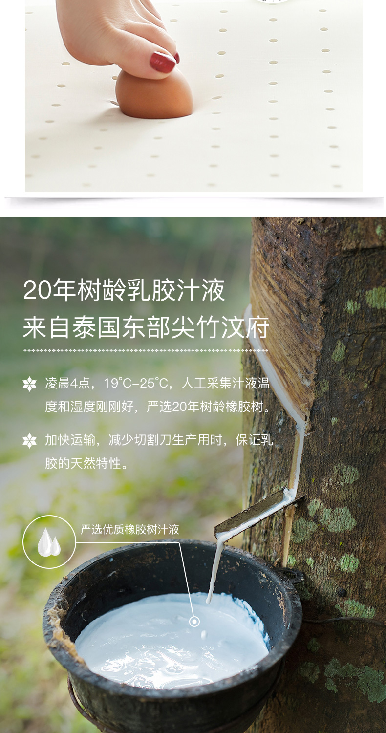 乳胶床垫乳胶原料橡胶学生宿舍单人09床垫软垫
