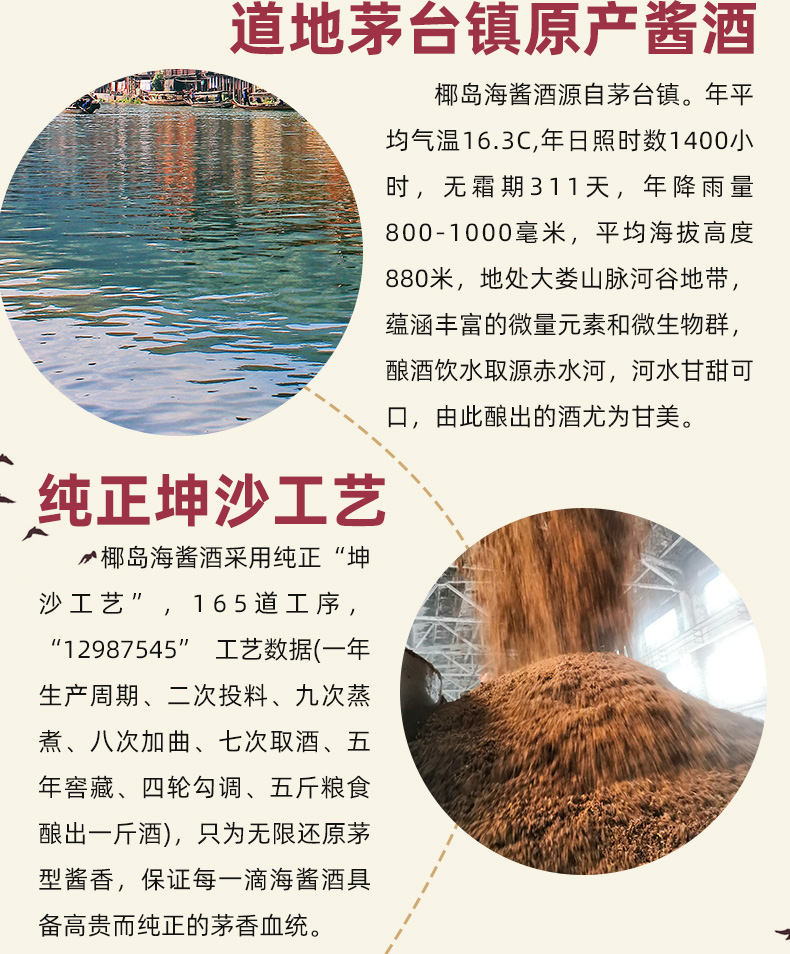 椰岛海酱500ml盒海派酱香型白酒53度10酱香酒酱酒商务礼盒装