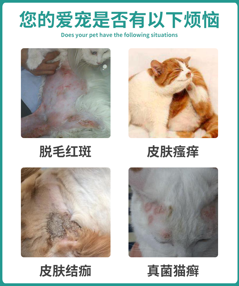 宠诺宠物保健利夫沙西猫藓喷剂狗狗猫咪宠物皮肤真菌猫癣幼猫狗癣喷雾 