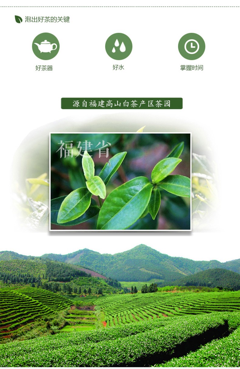中粮中茶牌 福鼎白茶 蝴蝶牌茶叶 2019年盛世牡丹5607白牡丹白茶饼