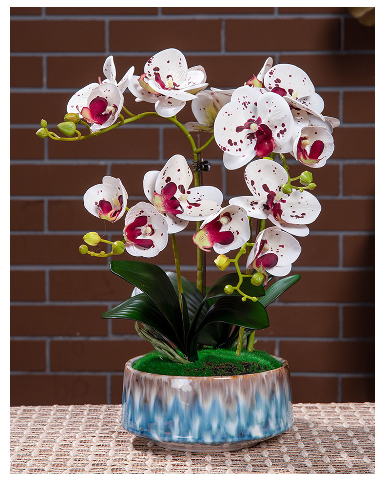 手感蝴蝶兰花仿真插花盆栽假花卉客厅茶几餐桌面装饰摆件摆设 封后 4