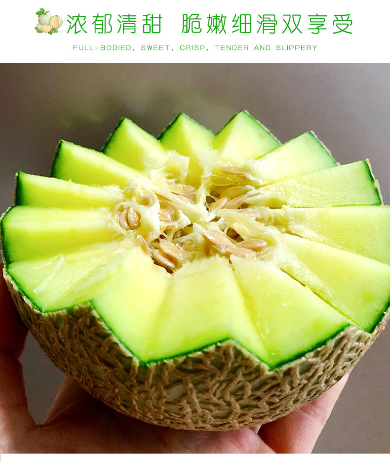 海南玲珑蜜瓜9斤整箱约24个装网纹蜜瓜枚珑瓜