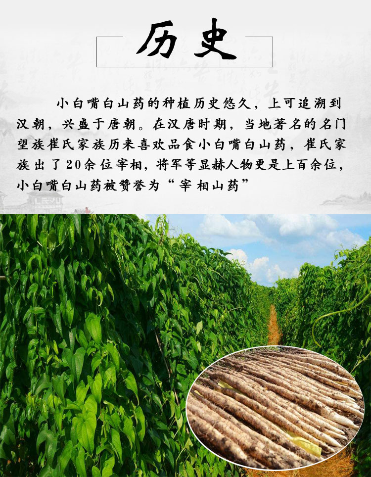 小白嘴新鲜五指山药5斤装粉糯河北特产比淮山麻山药铁棍山药好吃