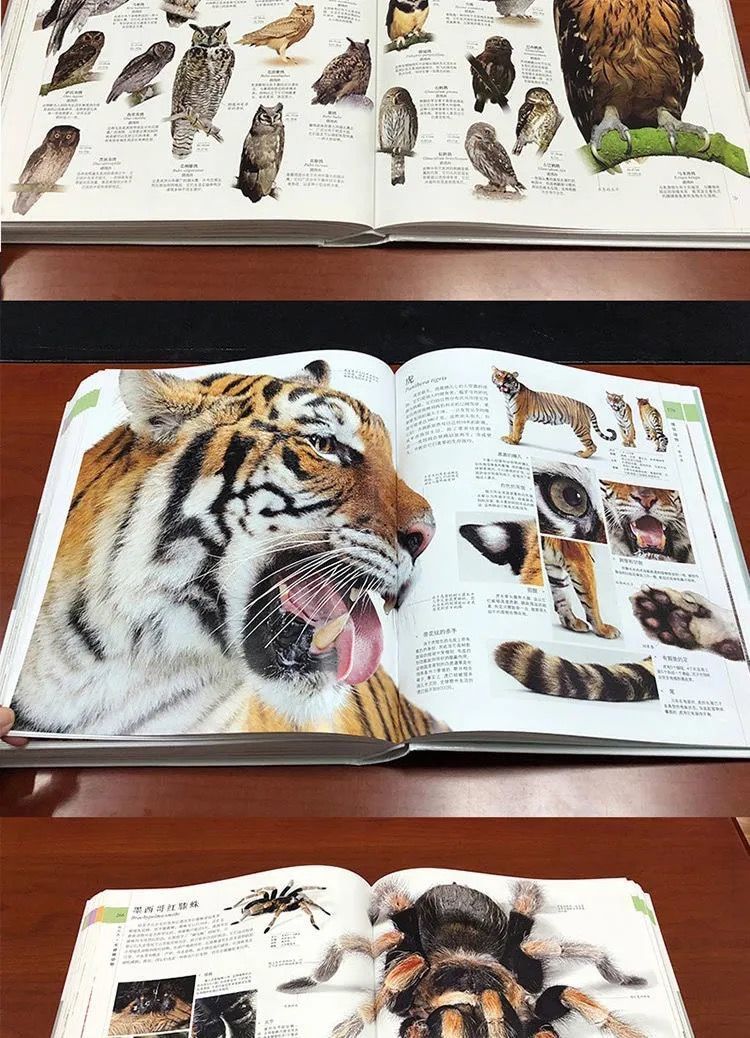 dk博物大百科正版中文版精装彩图少儿童百科全书动物植物恐龙点读博物