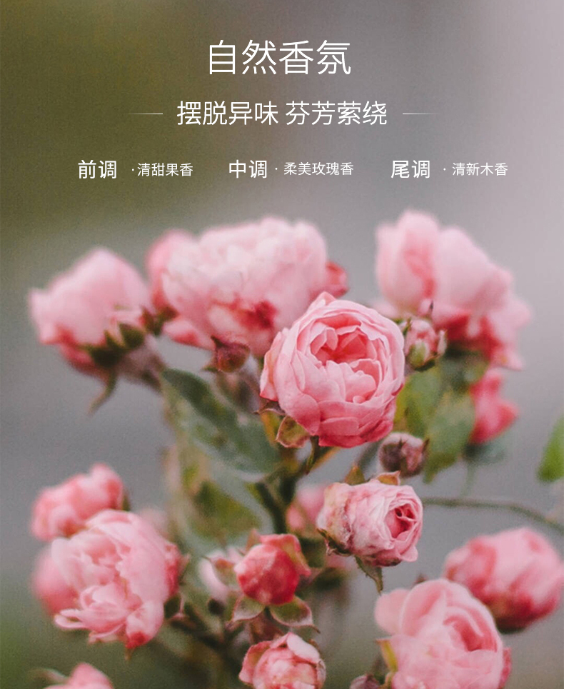 苏宁宜品推荐衣物洗护 海肌兰seaklam内衣洗衣液 法式