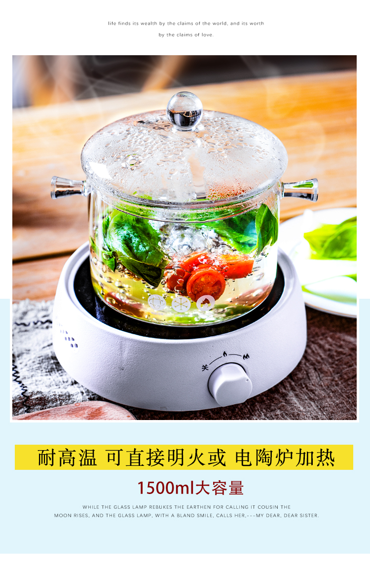 艺呈高硼硅双耳玻璃锅炖锅汤锅煲汤家用电陶炉燃气明火耐热可高温锅具