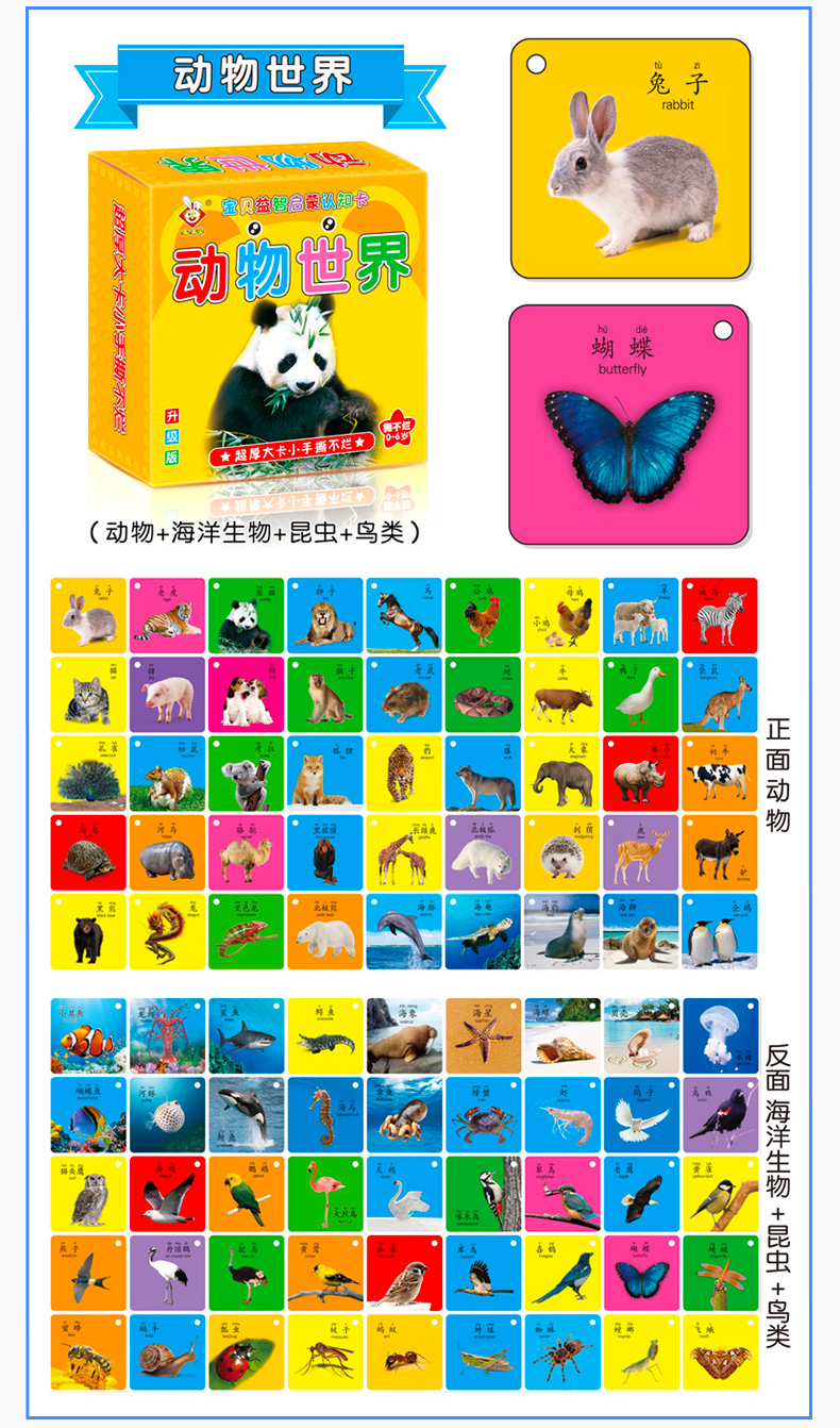 宝宝看图识物启蒙幼儿童早教书03岁书籍撕不烂识字认物认知卡片