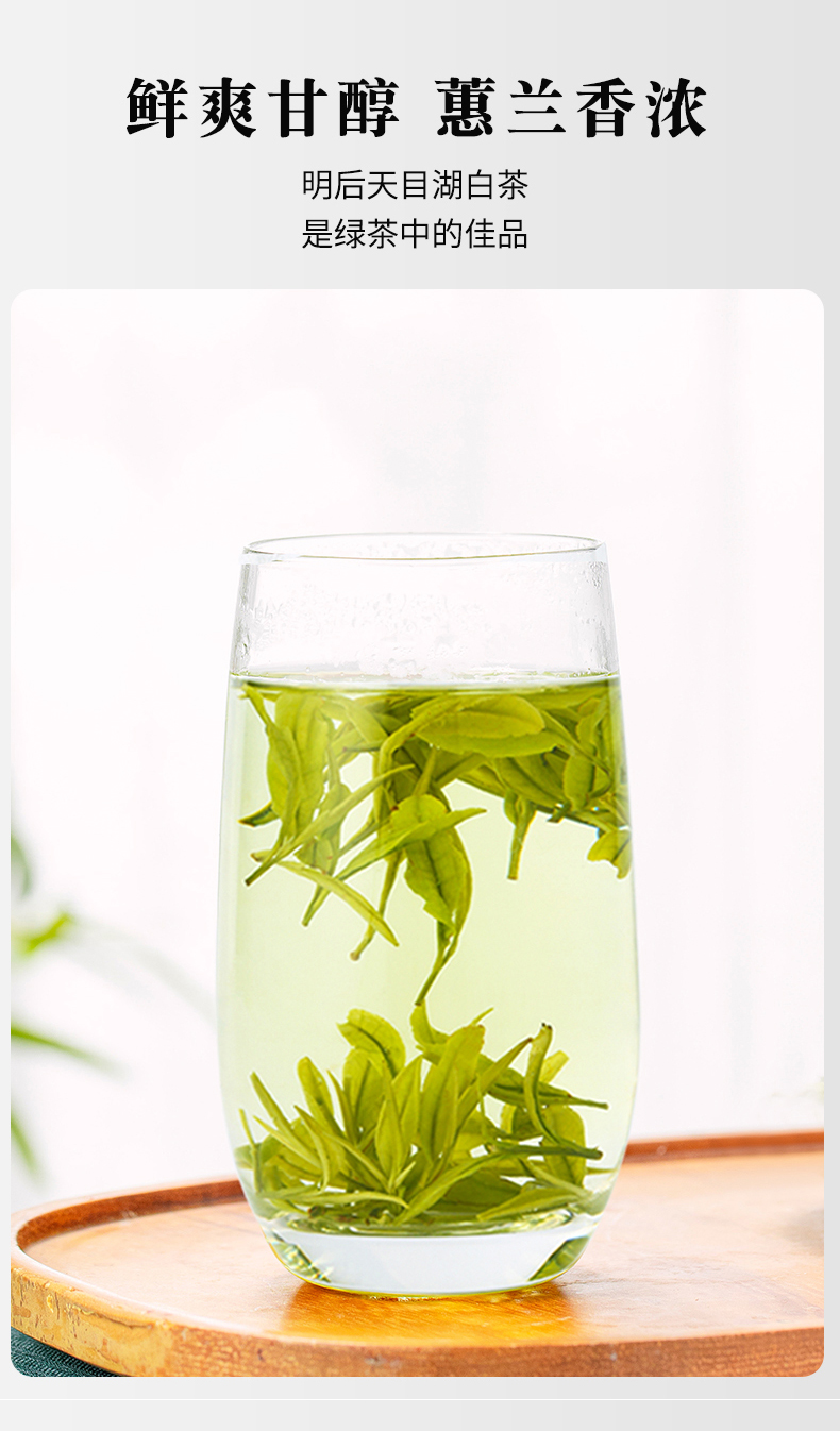溧阳天目湖白茶2021新茶春茶江苏常州特产绿茶浓香型耐泡茗茶麓雨散装