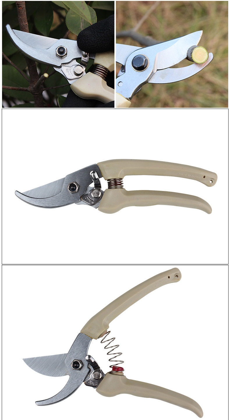 封后剪刀修枝剪园艺工具修枝剪花剪果树剪修花家用省力高树枝粗枝剪子