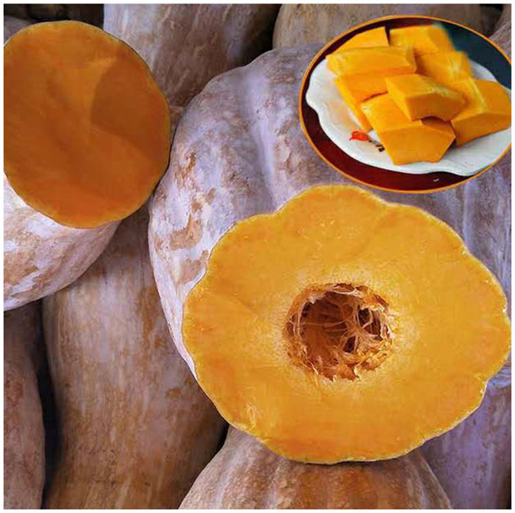 新鲜农家自产粉糯甜老南瓜黄瓤甜南瓜老品种粉糯南瓜新鲜大个45斤新鲜