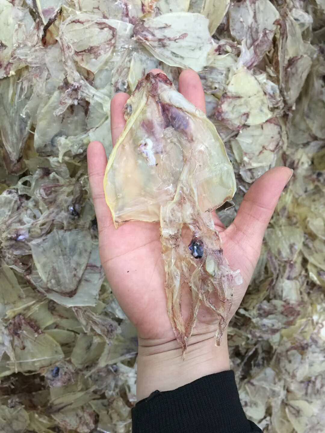 正宗汕尾特产海鲜干货新鲜足干鱿鱼片500克装深海自捞渔民自晒干净