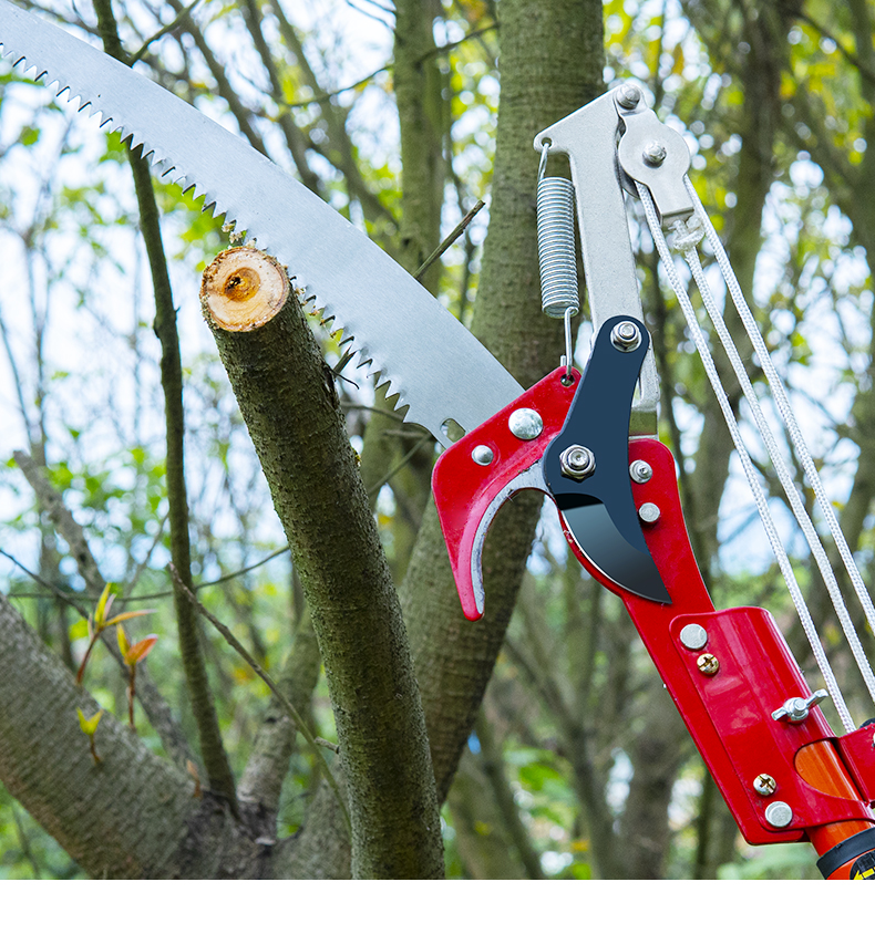 高枝剪伸缩高空剪荔枝剪树枝剪刀高枝锯修枝剪器园艺工具加长杆三维