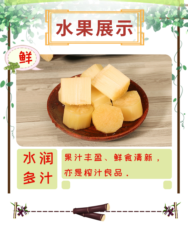 滨州甘蔗团购网站_滨州甘蔗团购网站电话 滨州甘蔗团购网站_滨州甘蔗团购网站电话